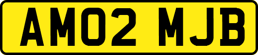 AM02MJB
