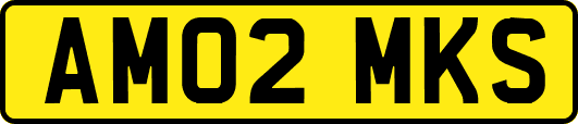 AM02MKS