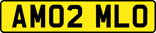 AM02MLO