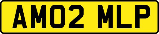 AM02MLP