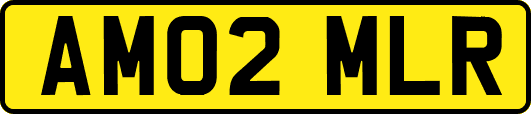AM02MLR