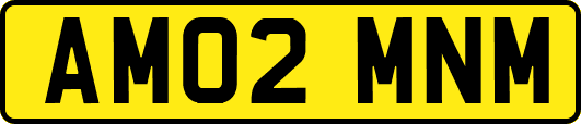 AM02MNM