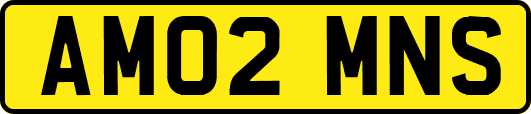AM02MNS