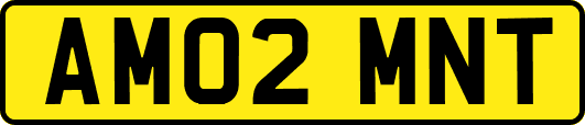 AM02MNT