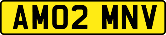 AM02MNV