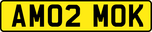AM02MOK