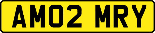 AM02MRY
