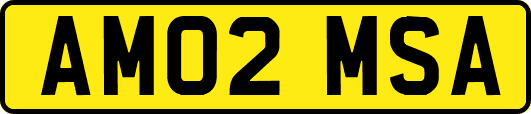 AM02MSA