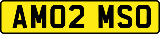 AM02MSO