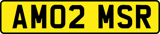 AM02MSR