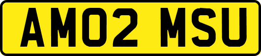 AM02MSU