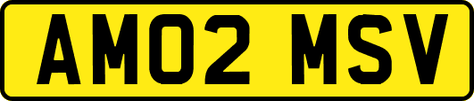 AM02MSV