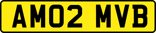 AM02MVB