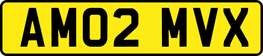 AM02MVX