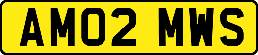 AM02MWS