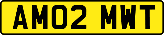 AM02MWT