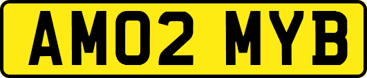 AM02MYB
