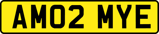 AM02MYE