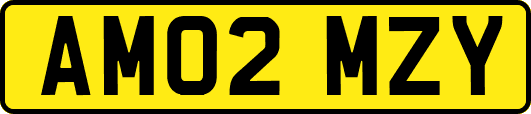 AM02MZY