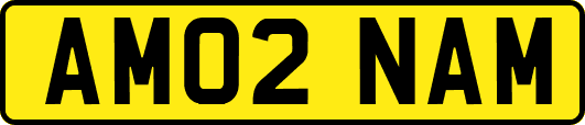 AM02NAM