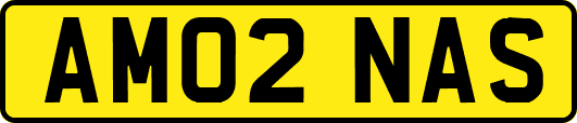 AM02NAS