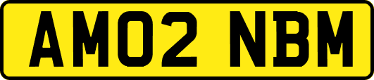 AM02NBM