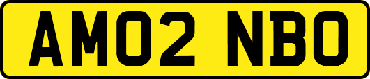 AM02NBO