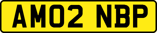 AM02NBP