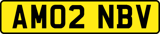AM02NBV