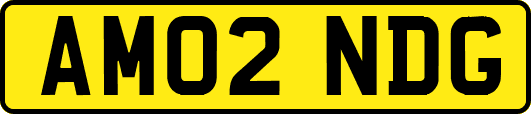 AM02NDG