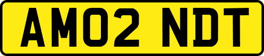 AM02NDT