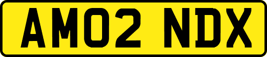 AM02NDX