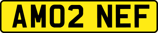 AM02NEF