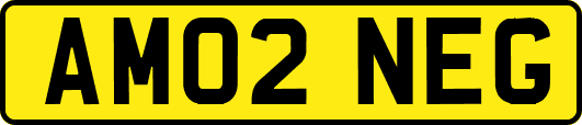 AM02NEG