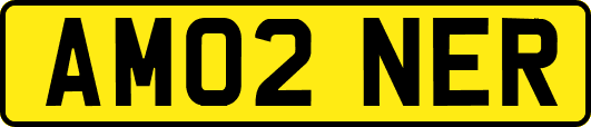 AM02NER