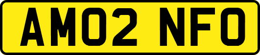 AM02NFO
