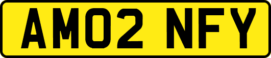 AM02NFY