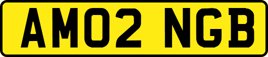 AM02NGB