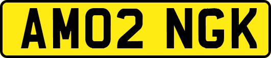 AM02NGK