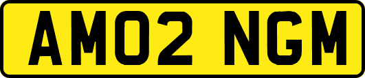 AM02NGM