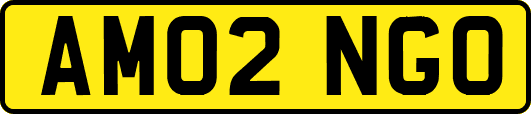 AM02NGO