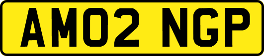 AM02NGP
