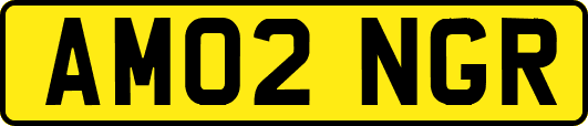 AM02NGR