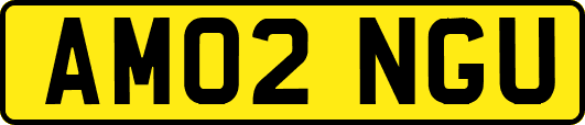AM02NGU