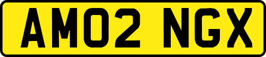 AM02NGX