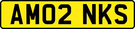 AM02NKS
