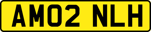 AM02NLH