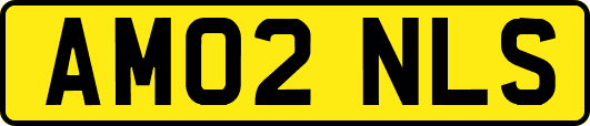 AM02NLS