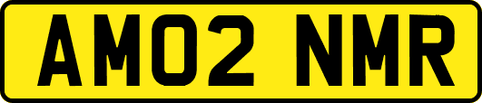 AM02NMR