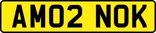 AM02NOK